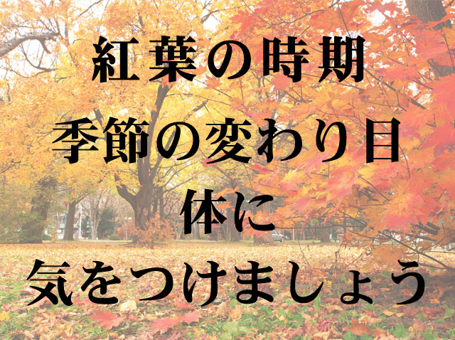 今月の大人の隠れ家GiBARメッセージ