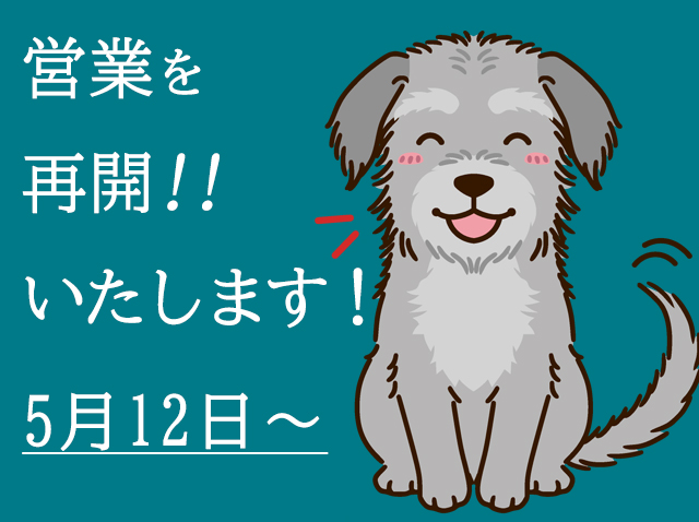 今月の大人の隠れ家GiBARメッセージ
